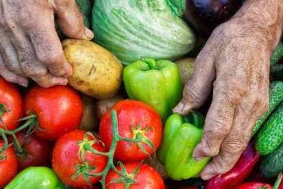 En Ecuador, el 24 % de los niños menores de cinco años están desnutridos.