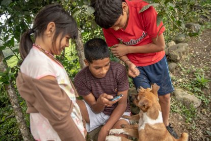 Los estudiantes shuar gozan de Internet y pueden enviar sus tareas a tiempo.