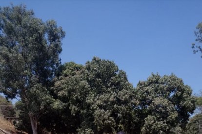 Los preparativos y grabaciones del programa avanzan. Edder Calderón y Mayra Jaime serán los animadores.