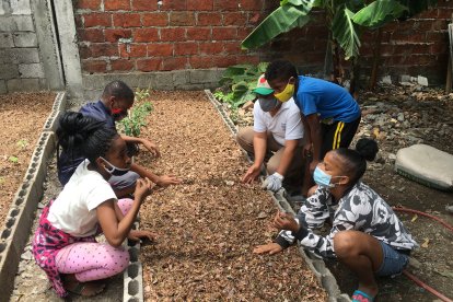 Los niños de la  fundación hicieron todo el trabajo de sembrado.