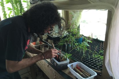 Bruno creó su propio invernadero y también una compostera con lombrices.