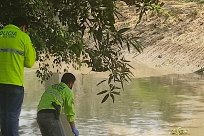 Para ser retirado del canal de  agua, el cuerpo fue arrastrado hasta la orilla. Luego fue llevado al Laboratorio de Criminalística.