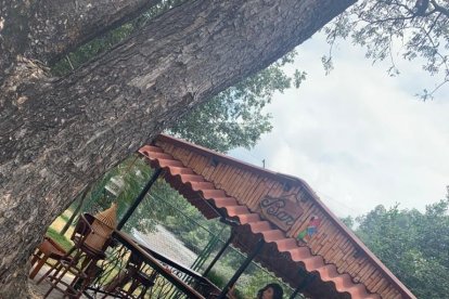 Vestido negro, es un clásico y práctico a la hora de complementarlo. Lo puedes usar en el día o en la noche.