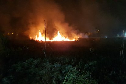 El incendio en esta zona protegida sería consecuencia de una irresponsabilidad.