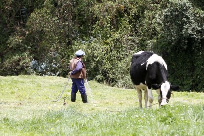El agua de consumo humano es usada para el riego de pastizales.