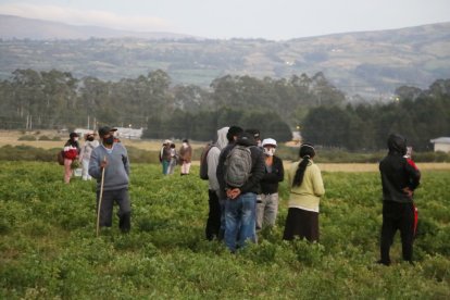 La familia de Rosario llegó al terreno donde se hallaron sus restos.