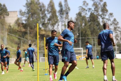 Sin novedad en las pruebas de Covid 19 en la Tricolor.