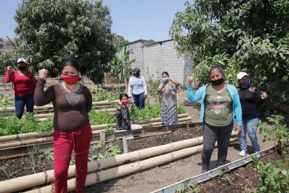 Las mujeres se organizan a diario para regar y cuidar las plantas.

FECHA : 13/11/2020 

Agencia (ag-extra)