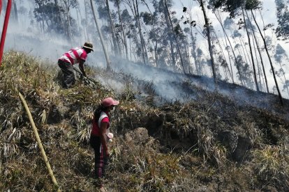 El fuego destruyó varias hectáreas de bosque y causó pérdidas de animales domésticos y aves.