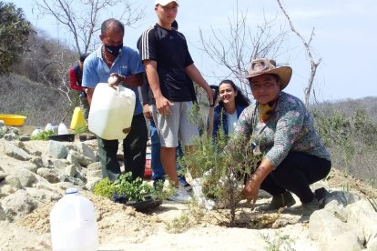 Después de colocadas las plantas en el suelo iniciaron el proceso de regarlas para lograr la producción.