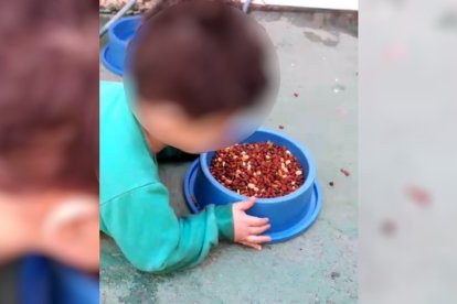 El pequeño, de dos años, sufre de una discapacidad que imposibilita el movimiento de sus piernas.