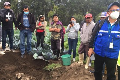 Se realizará un estudio técnico para conocer la antiguedad de los restos.
