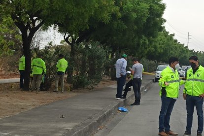 Agentes llegan al sitio para recoger indicios.