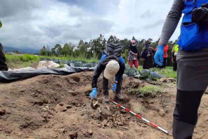 Removiendo tierra para sembrar encontraron restos antiguos.