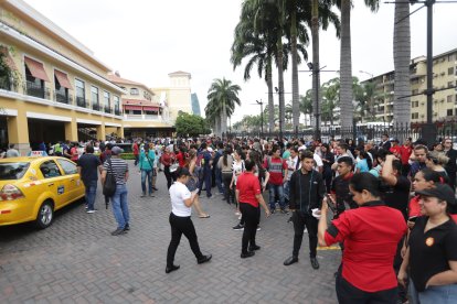 Simulacro de terremoto en el centro comercial, San Marino, en Guayaquil.



Foto: Valentina Encalada

Nota: Gelitza Robles



NOVIEMBRE 22 Guayaquil-Ecuador

Agencia (ag-expreso)