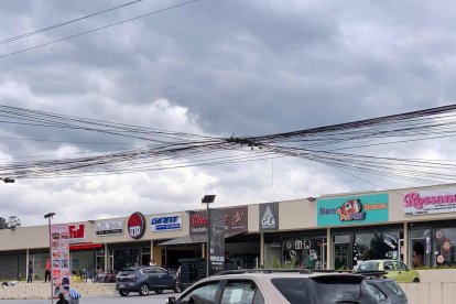 Los animalitos recorrían la avenida Ilaló.