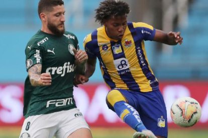 Delfín cayó ante Palmeiras 1-3.