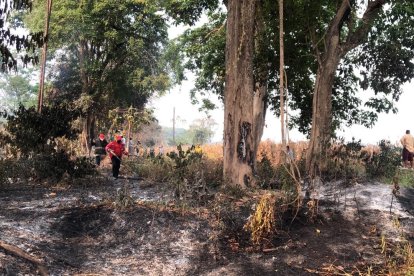 Alipio Villavicencio había ido a limpiar la finca, ubicada en el recinto Santa Rosa del cantón Baba.