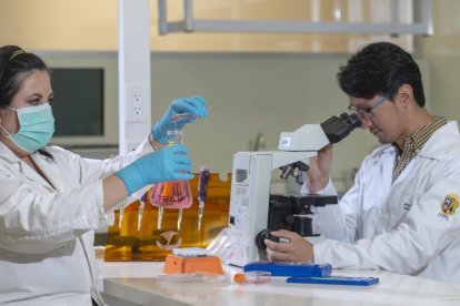 Los laboratorios del centro académico superior destacan también.