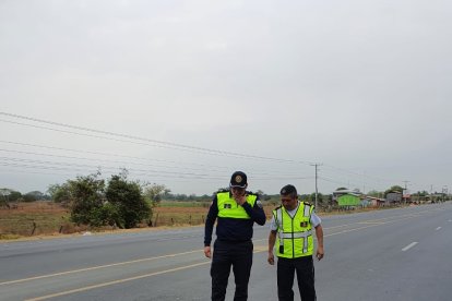 El animal corría el riesgo de ser atropellado por un vehículo.