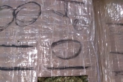 La captura de sustancias ilícitas, como la marihuana, es una tarea de nunca acabar.