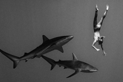 La modelo Marisa Papen, nadando con tiburones.
