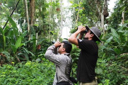 Cada año por esta época los amantes de las aves se dan un tiempo para observarlas en sus hábitats