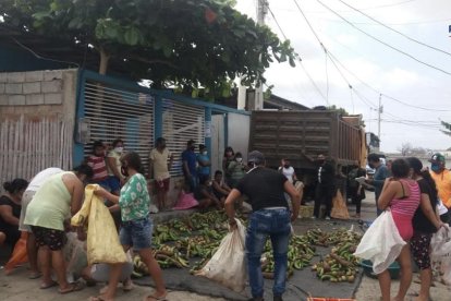 Los vecinos de Puerto Quito participan en el intercambio de productos agrícolas.
