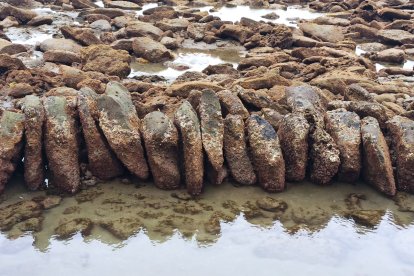 Estas hileras de piedras quedan al descubierto cuando el agua del mar desciende.