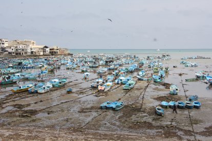 Las más de 2.000 embarcaciones que flotaban en el agua quedaron sobre la arena.