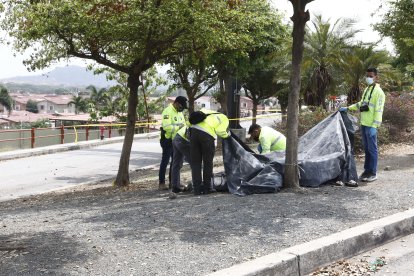 Cerca al cuerpo de Jéssica Beltrán Vargas quedó su cartera. Policía de la Dinased y Criminalística recabaron indicios.