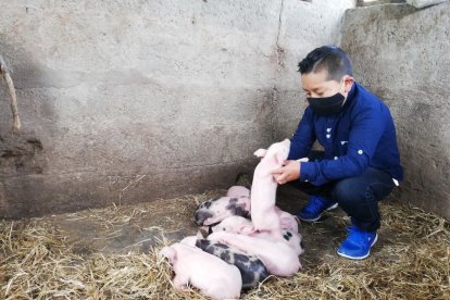 Juan Gabriel ya le puso el ojo a los ocho lechoncitos para venderlos y ayudar a la economía de su familia.