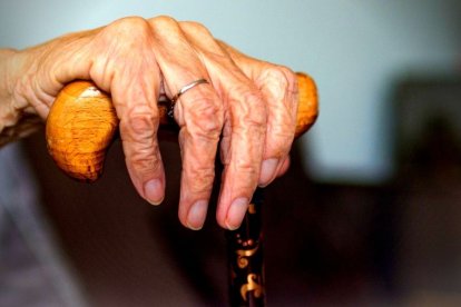 La octogenaria mujer confesó el asesinato. Sería llevada a un hospital psiquiátrico. Foto referencial.