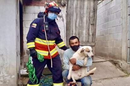Perrito fue rescatado de una quebrada en El Condado.