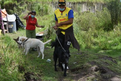 Mayra y Luis llevan a pasear a sus mascotas todos los días. No pueden dejarlas sueltas.