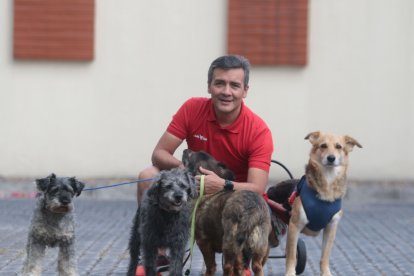El periodista deportivo cuida de sus canes con devoción.