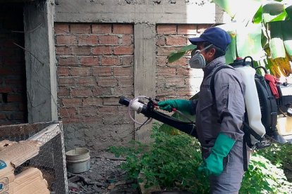 En las provincia de la costa como Guayas y El Oro llevan a cabo jornadas d fumigación