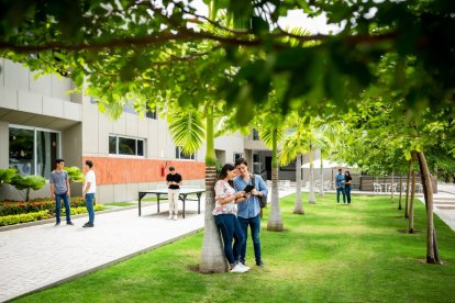 Según la Ecotec, con las proyecciones espera salvar unos 1.800 árboles