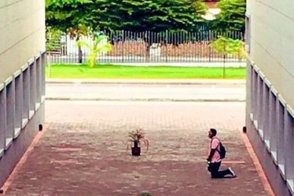 Luis Aguilar acudió durante 53 días, cada mañana, a rezar frente a la ventana del cuarto donde se encontraba intubada su esposa, Leslie.