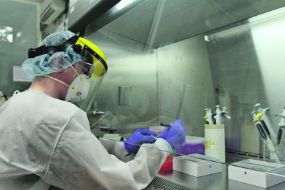 Para conocer si en un  espermatozoide existe coronavirus se puede realizar una prueba PCR al semen.