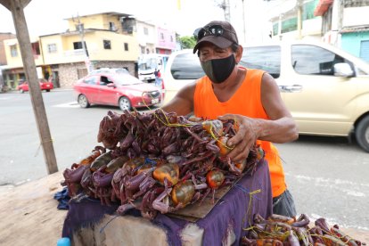 Milton Baidal tiene previsto trabajar en una obra de construcción mientras no pueda vender cangrejos.