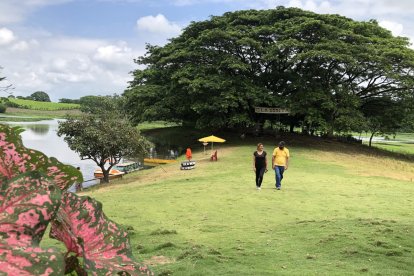 Los visitantes disfrutan del contacto con la naturaleza.