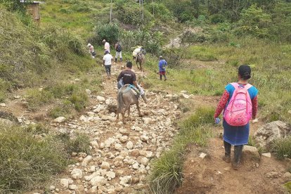Una maratónica marcha hacia los recintos electorales debieron hacer los miembros de la comunidad indígena.