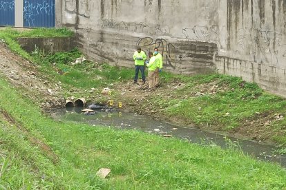 El hallazgo ocurrió en el distribuidor que conecta la avenida Narcisa de Jesús con la vía Perimetral.