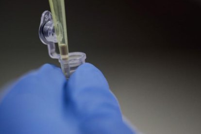 El medicamento para el tratamiento contra los parásitos en animales y humanos es barato.