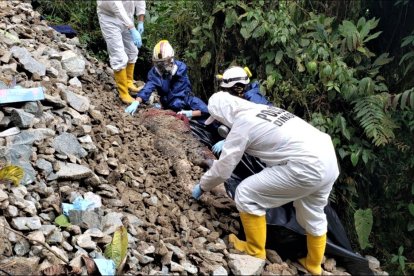 El hallazgo se hizo en un botadero de escombros auríferos en Bella Rica.