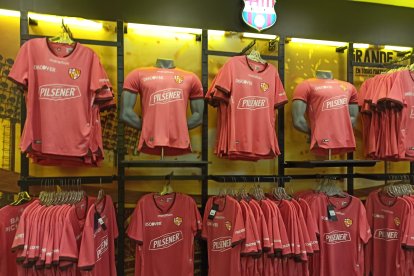 La camiseta alterna es la que se muestra en las tiendas deportivas. La principal es un misterio
