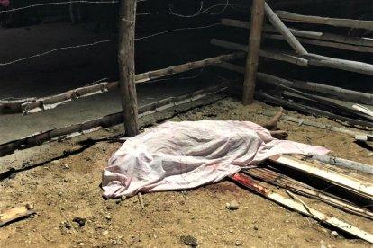 Luis Rogel Gaona, de 21 años, fue asesinado en la parte posterior de una vivienda de Huaquillas.