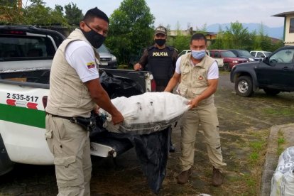 La carne en sacos fue decomisada por las autoridades ambientales.