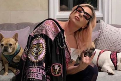 La cantante tiene la sangre en el ojo por el robo de sus mascotas y el ataque al cuidador de estos.